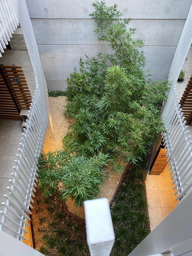 The Gallery Luxe 1 Bedroom Executive Apartment In The Heart Of Braddon Wine Secure Parking Wifi Canberra Eksteriør billede